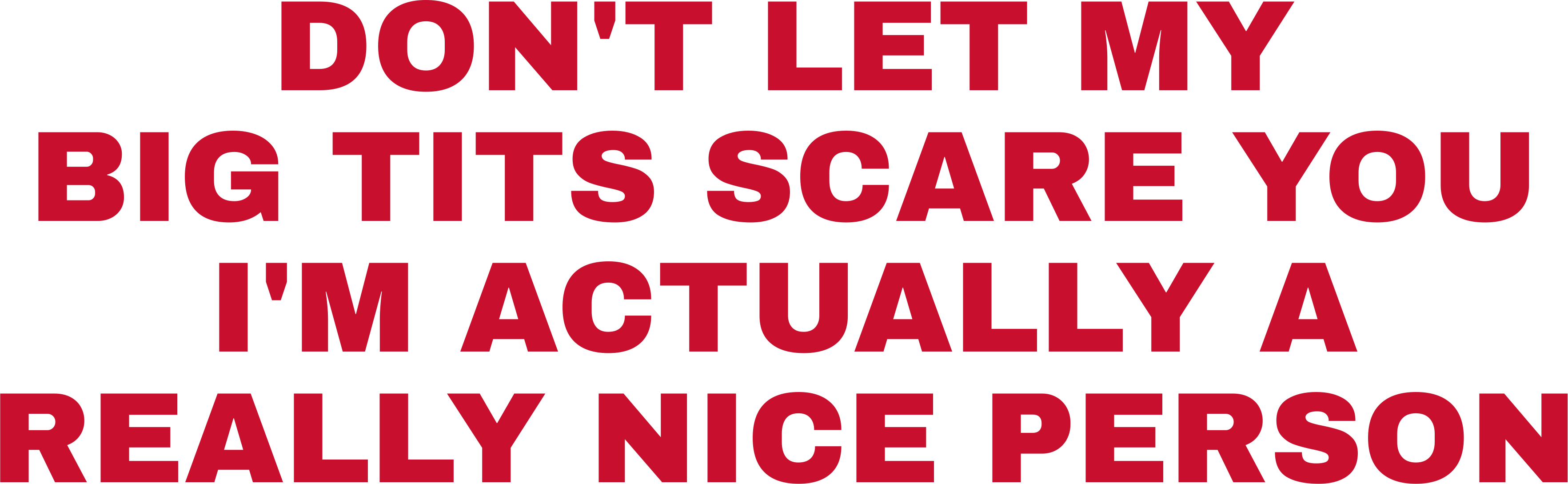 DON'T LET MY BIG TITS SCARE YOU I'M ACTUALLY A REALLY NICE PERSON HOODIE