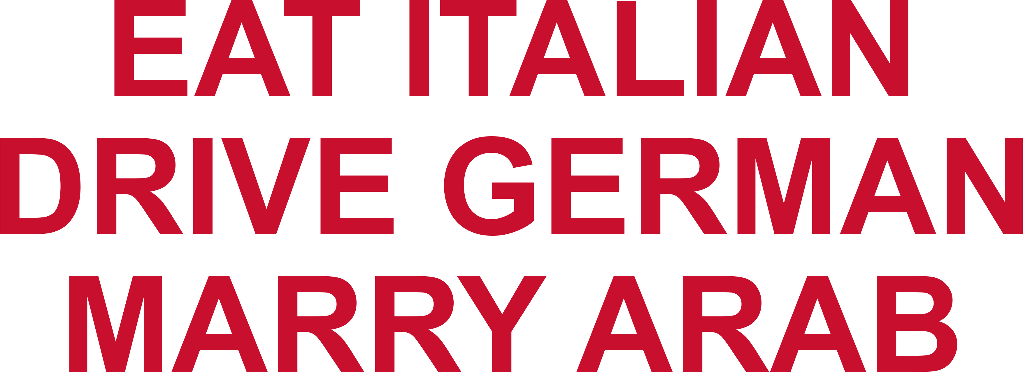 EAT ITALIAN DRIVE GERMAN MARRY ARAB HOODIE