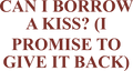 CAN I BORROW A KISS? (I PROMISE TO GIVE IT BACK) HOODIE
