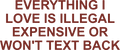 EVERYTHING I LOVE IS ILLEGAL EXPENSIVE OR WON'T TEXT BACK HOODIE