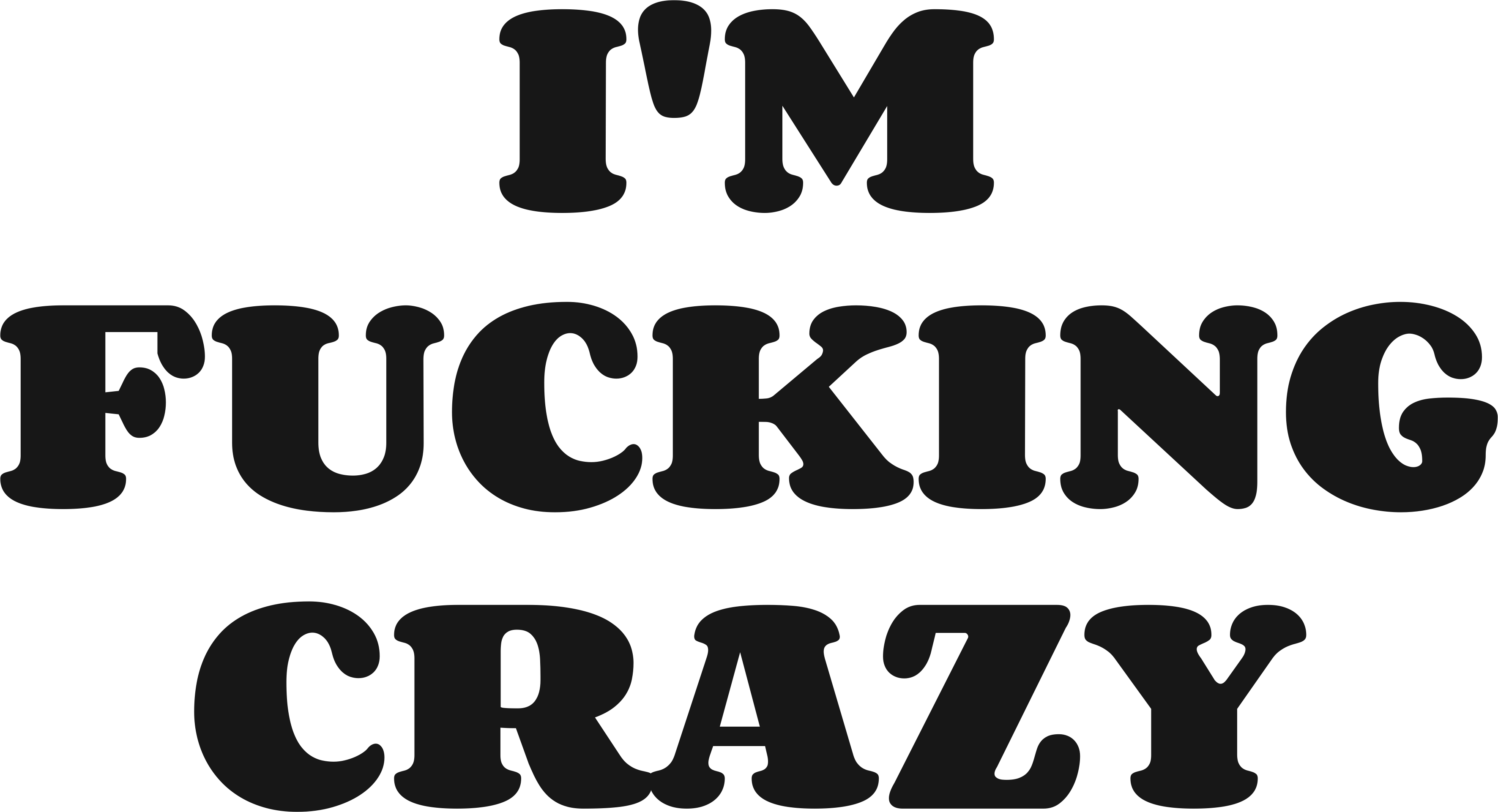 I'M FUCKING CRAZY HOODIE