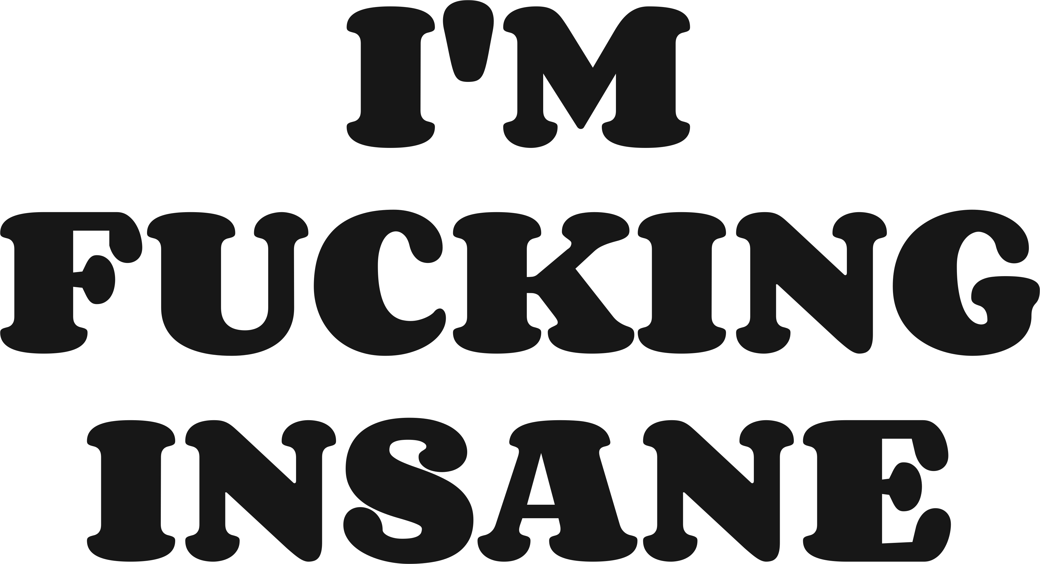 I'M FUCKING INSANE HOODIE