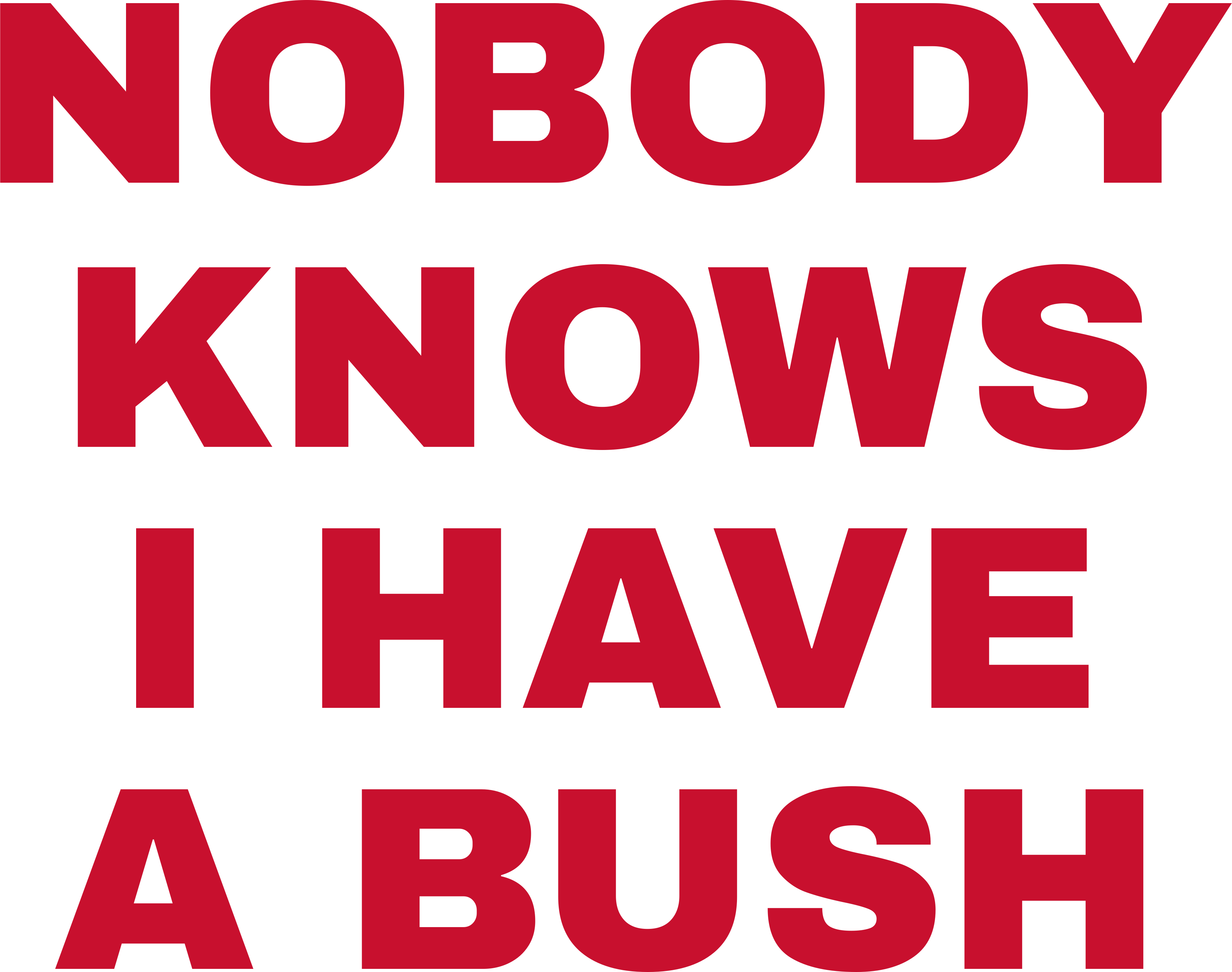 NOBODY KNOWS I HAVE A BUSH