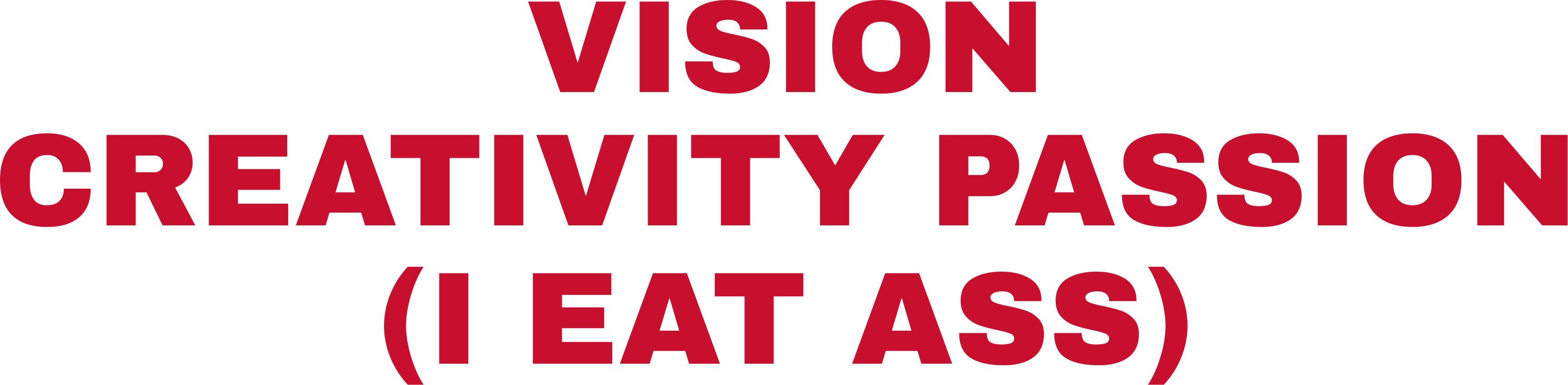 VISION CREATIVITY PASSION (I EAT ASS)