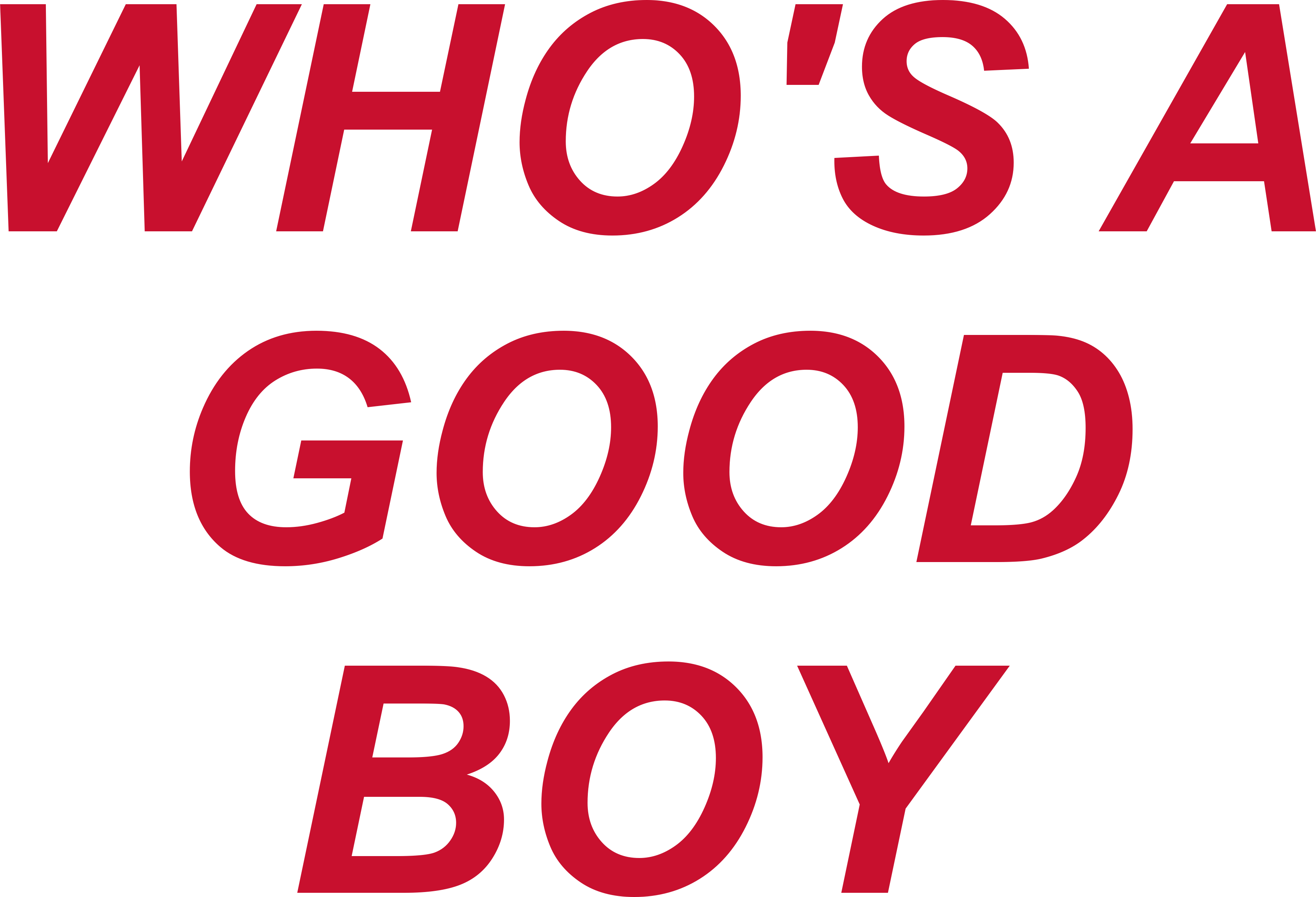 WHO'S A GOOD BOY