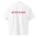 MY EX IS GAY