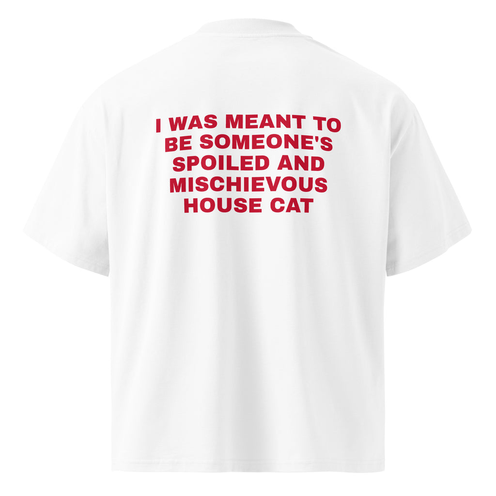 I WAS MEANT TO BE SOMEONE'S SPOILED AND MISCHIEVOUS HOUSE CAT oversized t-shirt – white back view | So True
