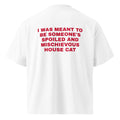 I WAS MEANT TO BE SOMEONE'S SPOILED AND MISCHIEVOUS HOUSE CAT oversized t-shirt – white back view | So True