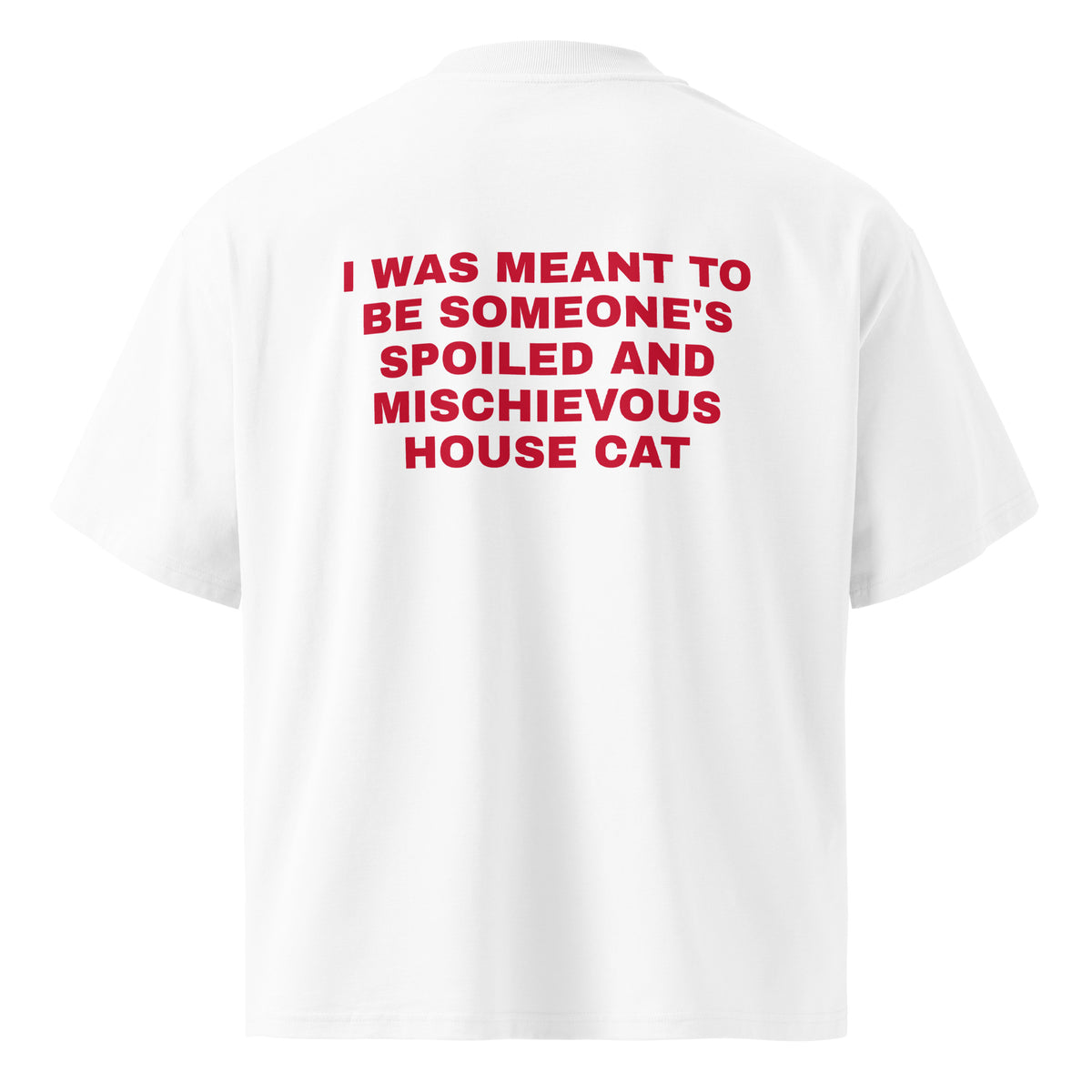 I WAS MEANT TO BE SOMEONE'S SPOILED AND MISCHIEVOUS HOUSE CAT oversized t-shirt – white back view | So True