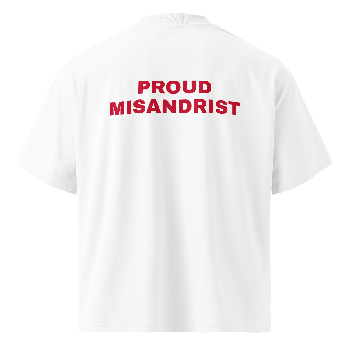 PROUD MISANDRIST oversized t-shirt – white back view | So True