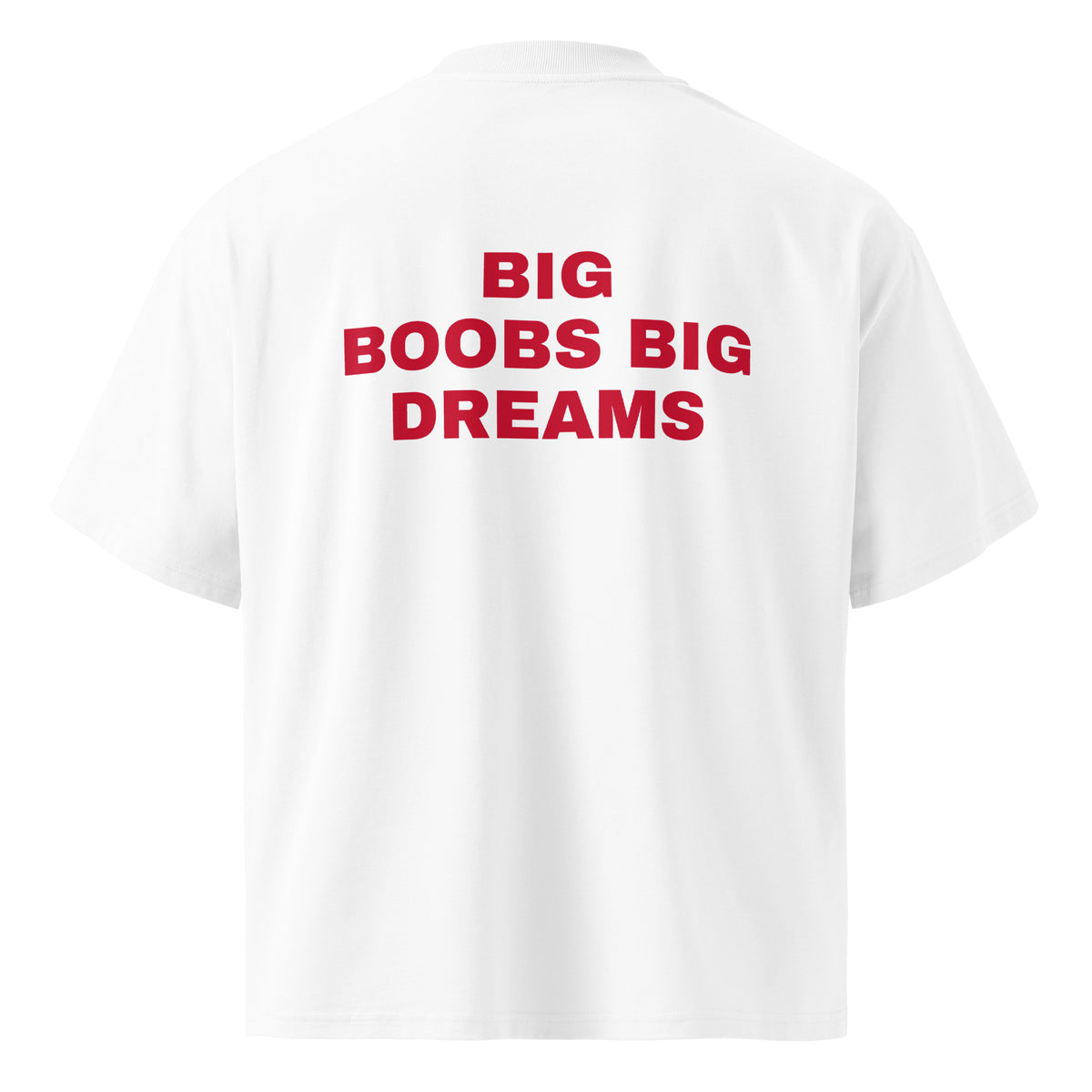 BIG BOOBS BIG DREAMS oversized t-shirt – white back view | So True