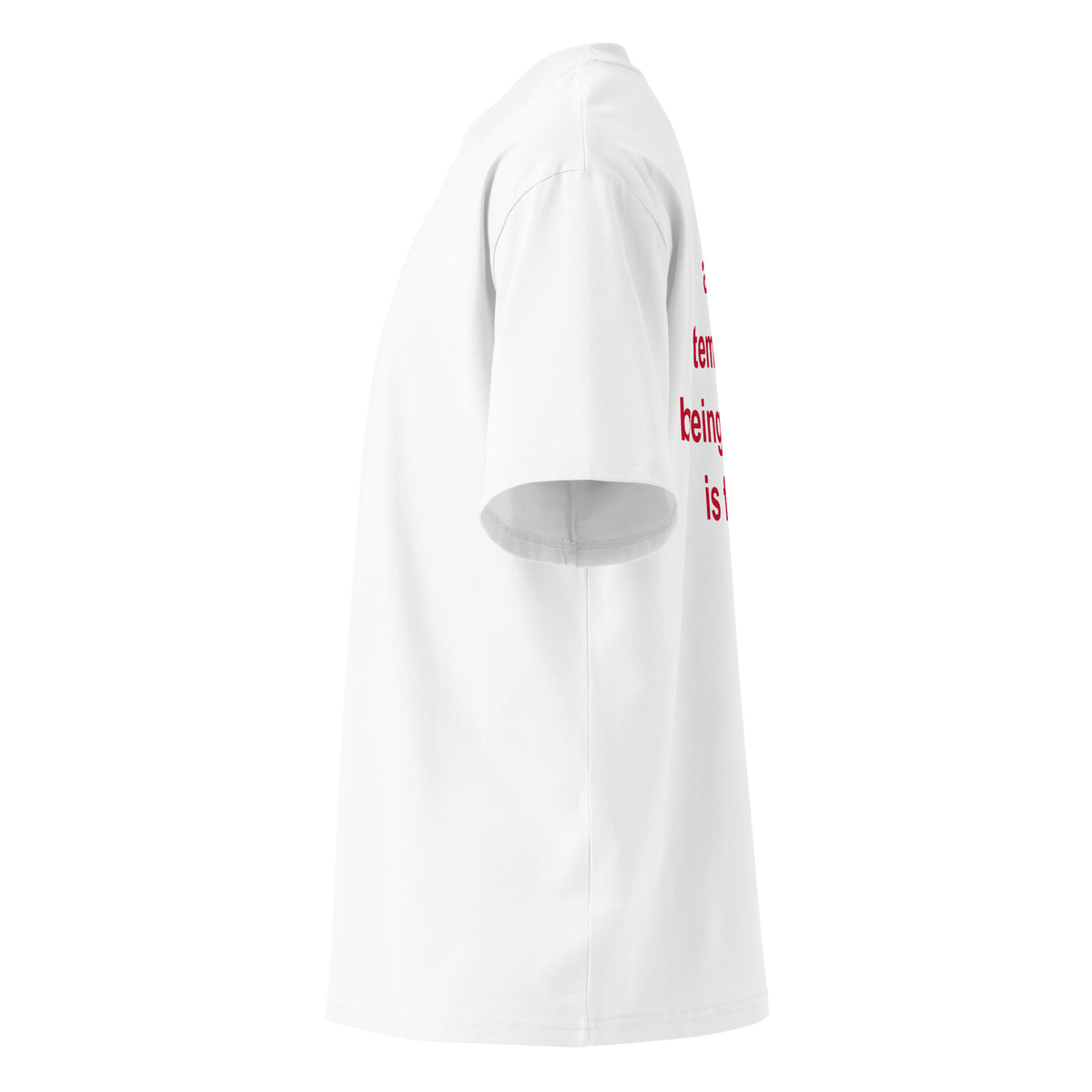 A GF IS TEMPORARY BEING A HOT EX IS FOREVER oversized t-shirt – white left view | So True