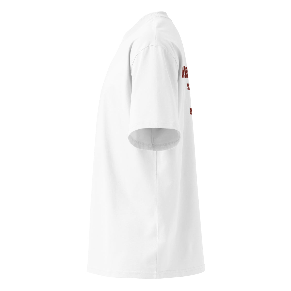 MISSIONARY SO WE CAN KEEP ARGUING oversized t-shirt – white left view | So True