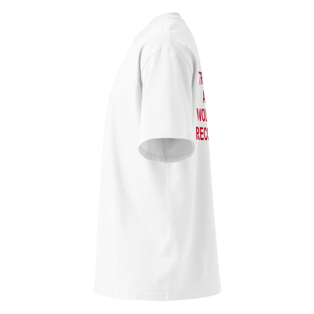 TRUSTING A MAN WOULD NOT RECOMMEND oversized t-shirt – white left view | So True