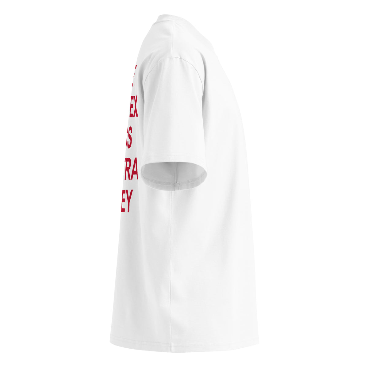 THE ONLY EX I MISS IS EXTRA MONEY oversized t-shirt – white right view | So True