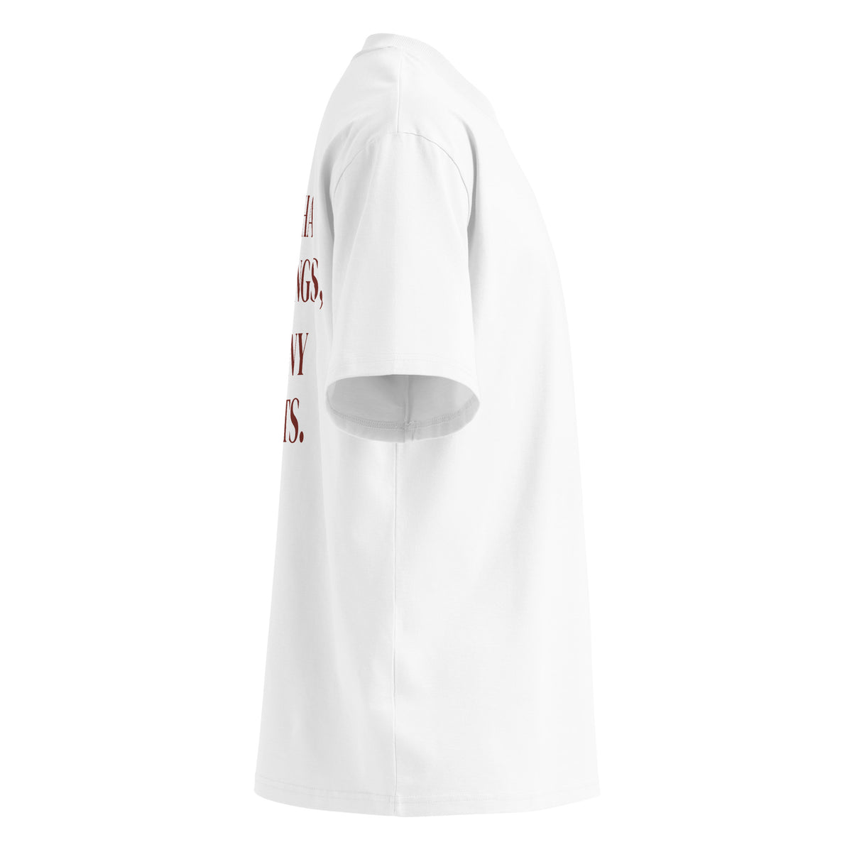 MATCHA MORNINGS, FELONY NIGHTS oversized t-shirt – white right view | So True