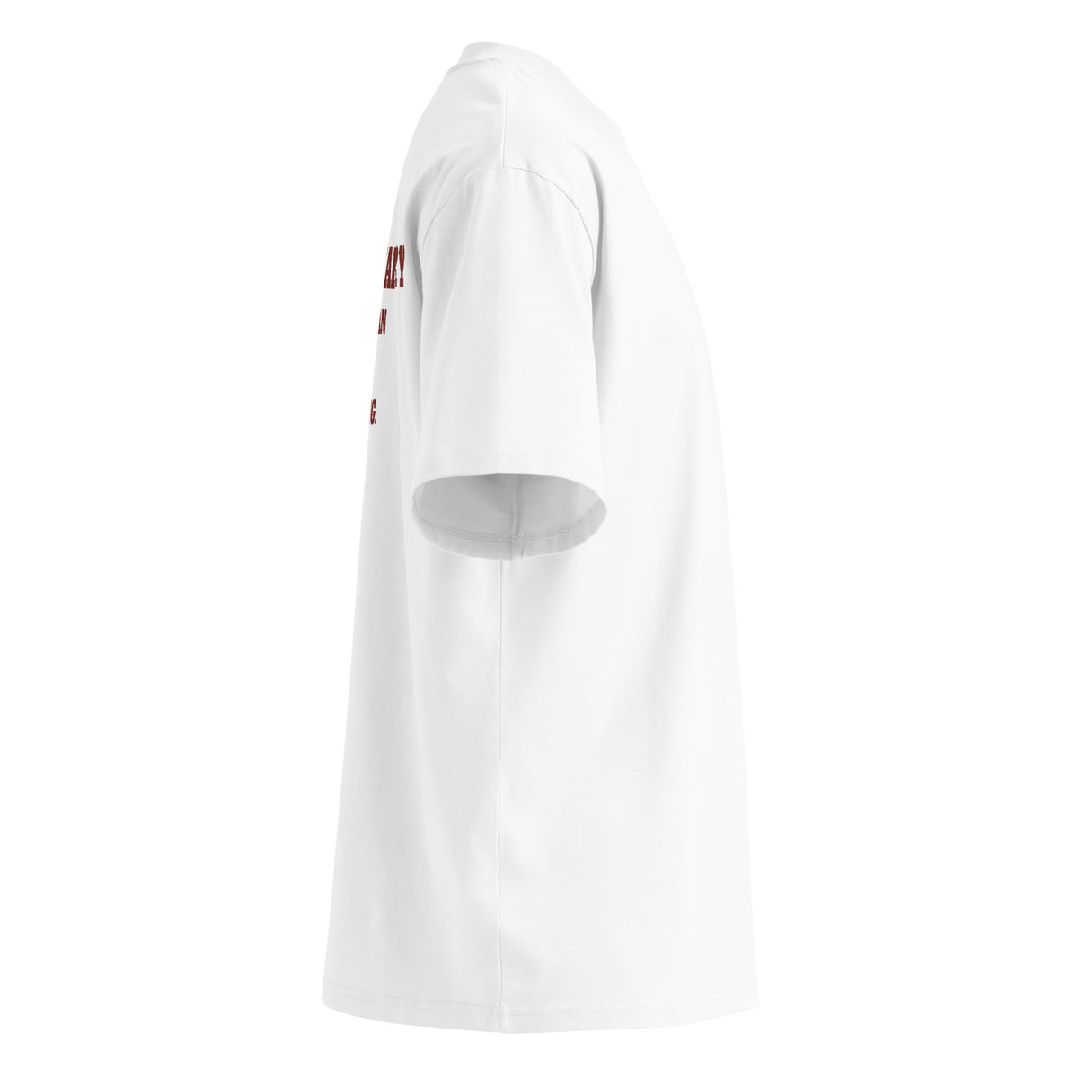 MISSIONARY SO WE CAN KEEP ARGUING oversized t-shirt – white right view | So True