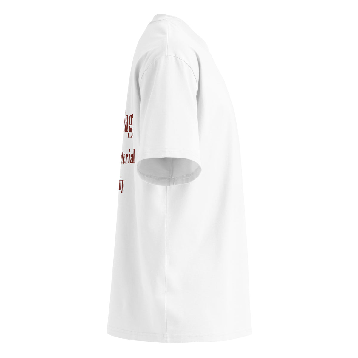 I'M A RED FLAG BUT THE MATERIAL IS QUALITY oversized t-shirt – white right view | So True
