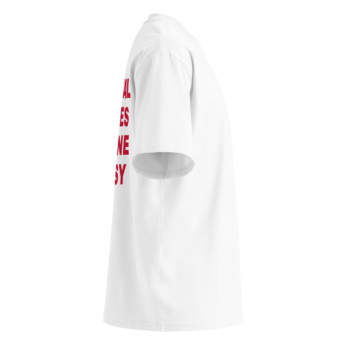 MENTAL ISSUES INSANE PUSSY oversized t-shirt – white right view | So True