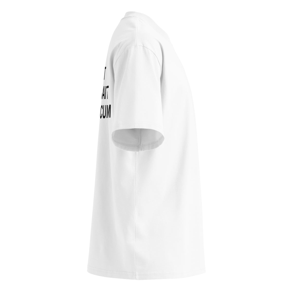 DON'T RAGEBAIT ME I'LL CUM oversized t-shirt – white right view | So True