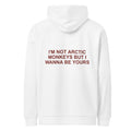 I'M NOT ARCTIC MONKEYS BUT I WANNA BE YOURS HOODIE
