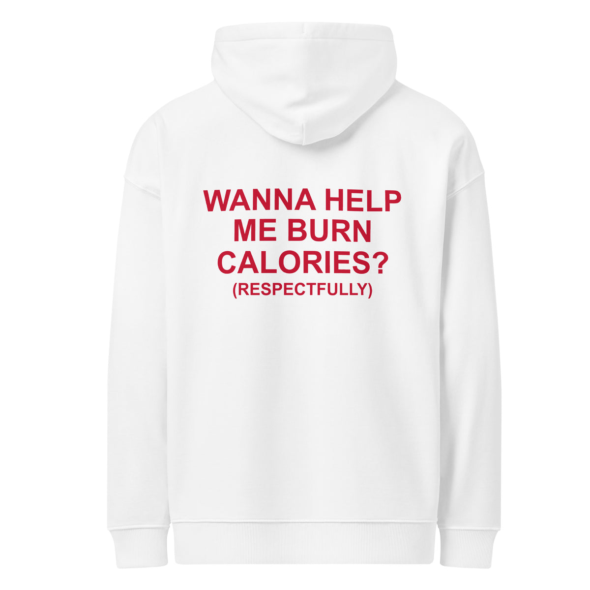 WANNA HELP ME BURN CALORIES? (RESPECTFULLY) oversized hoodie – white back view | So True