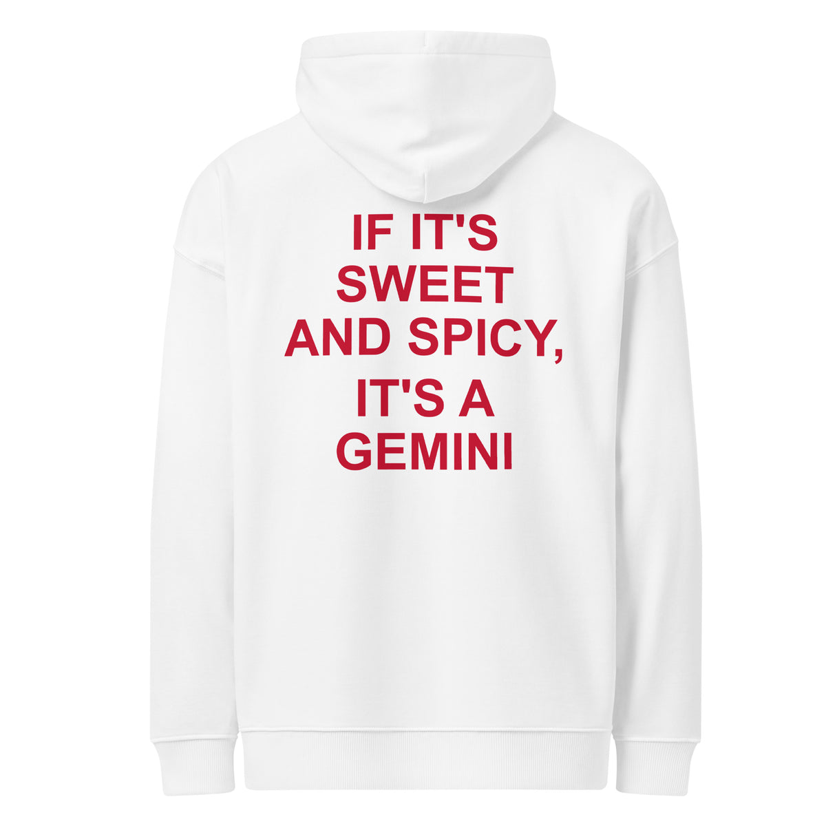IF IT'S SWEET AND SPICY, IT'S A GEMINI oversized hoodie – white back view | So True