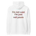 I'M NOT COLD I'M JUST NOT YOURS oversized hoodie – white back view | So True