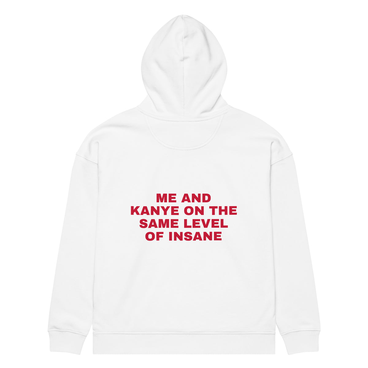 ME AND KANYE ON THE SAME LEVEL OF INSANE oversized hoodie – white back view | So True