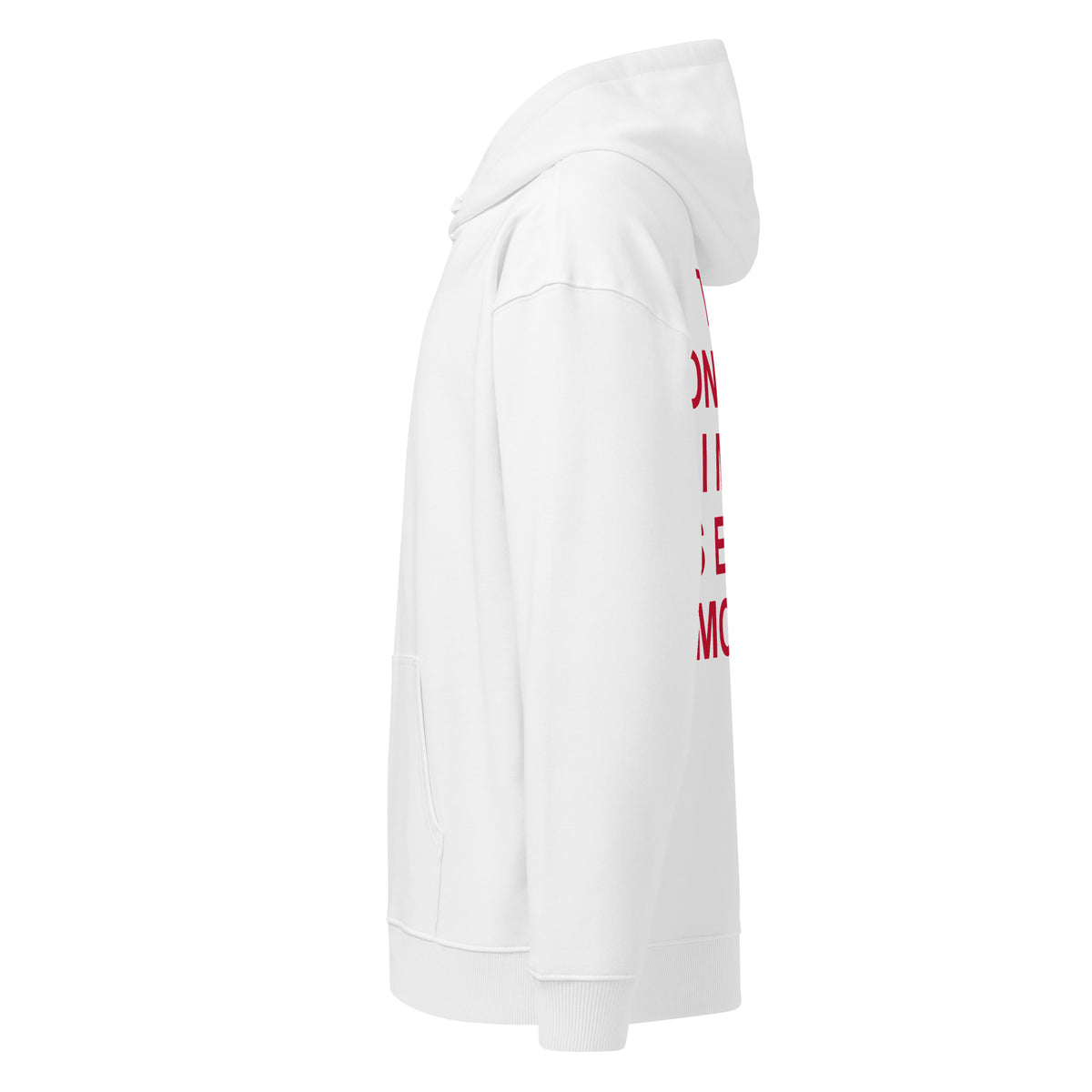 THE ONLY EX I MISS IS EXTRA MONEY oversized hoodie – white left view | So True