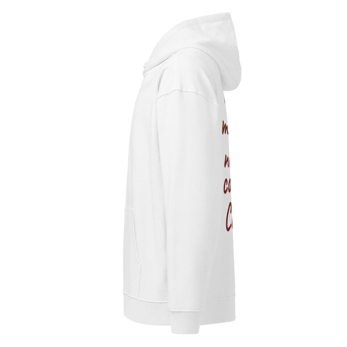 BIG MONEY NEVER COMES CLEAN oversized hoodie – white left view | So True