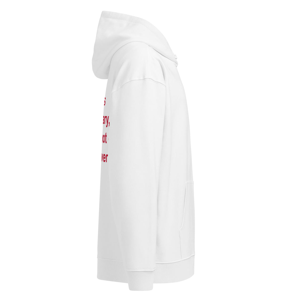 A GF IS TEMPORARY BEING A HOT EX IS FOREVER oversized hoodie – white right view | So True