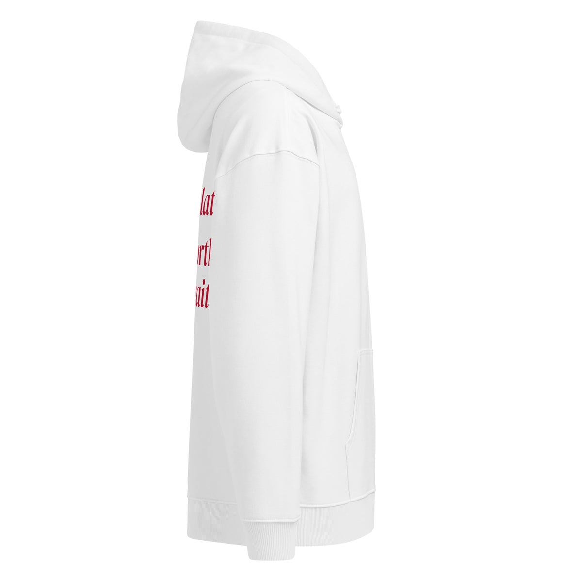 ALWAYS LATE BUT WORTH THE WAIT oversized hoodie – white right view | So True