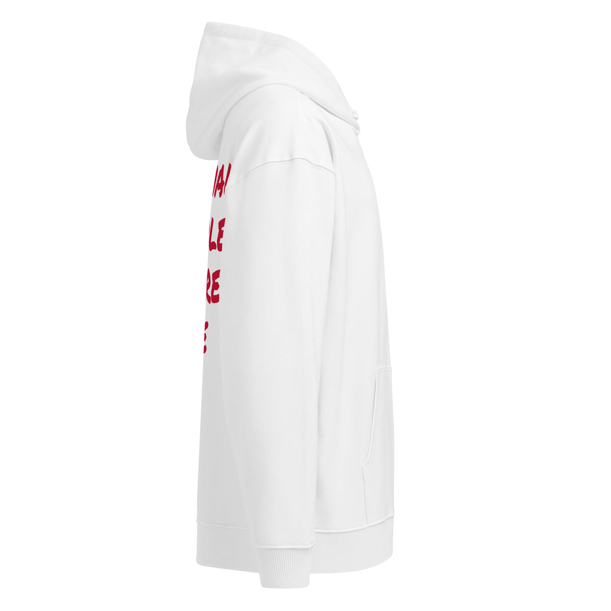 NORMAL PEOPLE SCARE ME oversized hoodie – white right view | So True